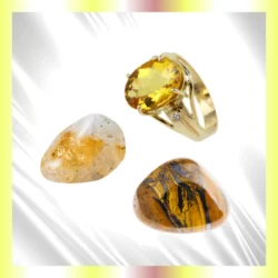 Immagini-per-categorie-sito-2025-05-10T211557.183