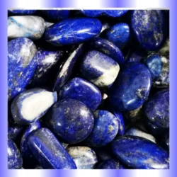 Immagini-per-categorie-sito-2025-05-12T213344.117